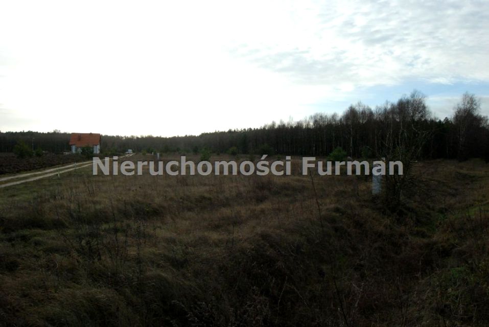 Działka budowlana Plecemin
