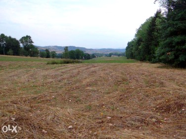 Działka budowlana Stara Białka