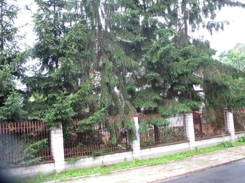 Działka budowlana Warszawa