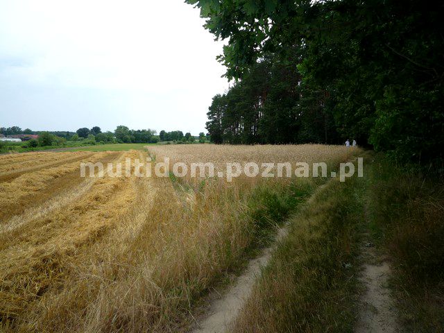 Działka Grójec Mały