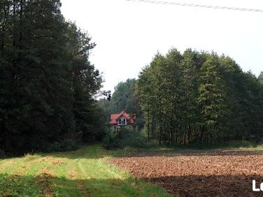 Dom Jodłówka-Wałki