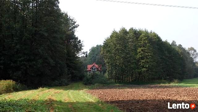 Dom Jodłówka-Wałki
