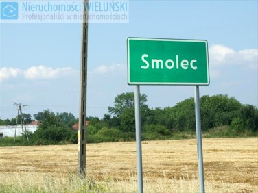 Działka siedliskowa Smolec