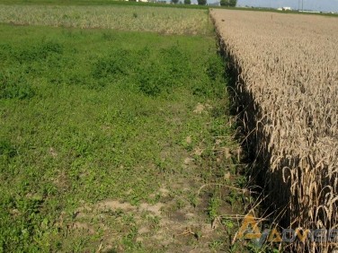 Działka budowlana Ożarów