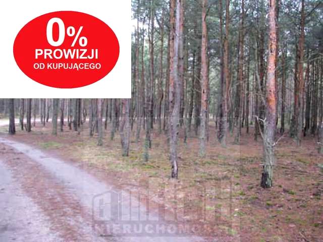 Działka budowlana Warszawa