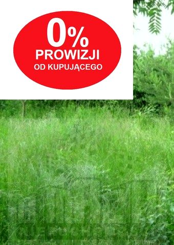 Działka Warszawa