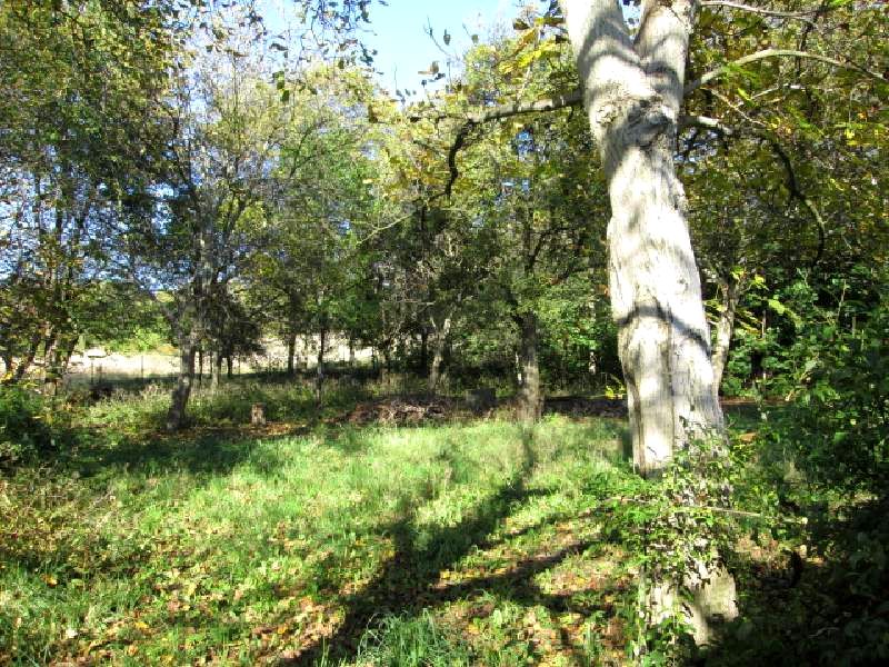 Działka budowlana Olsztyn