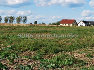 Działka budowlana Dąbrowa