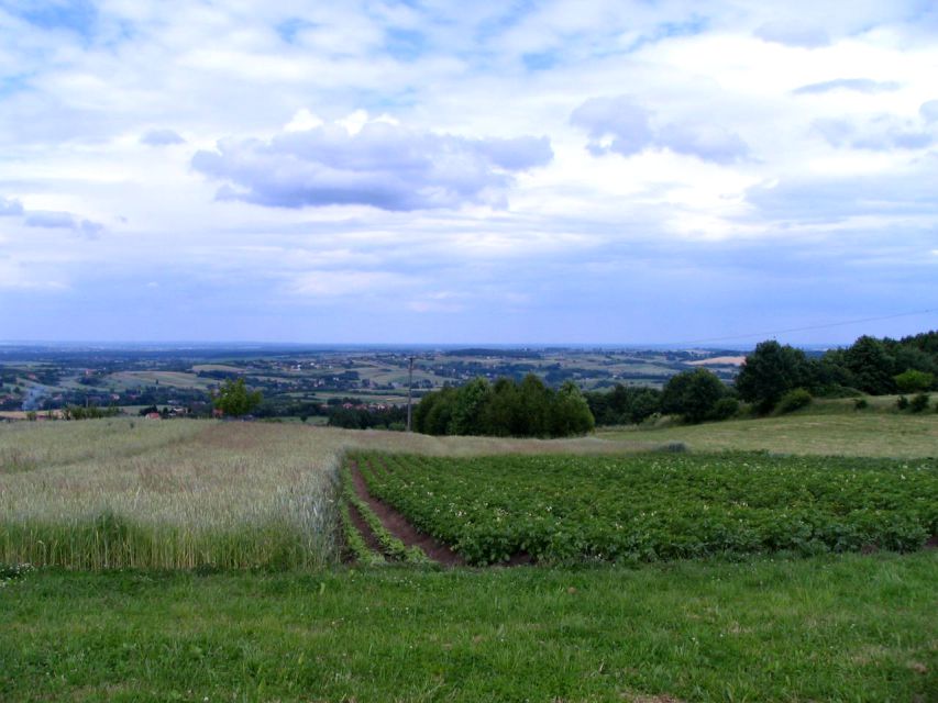 Działka inna Biskupice