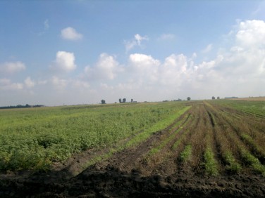 Działka rolna Trzebisławki