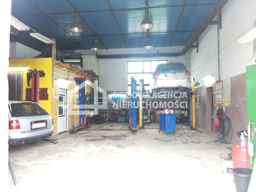 Lokal Gdańsk