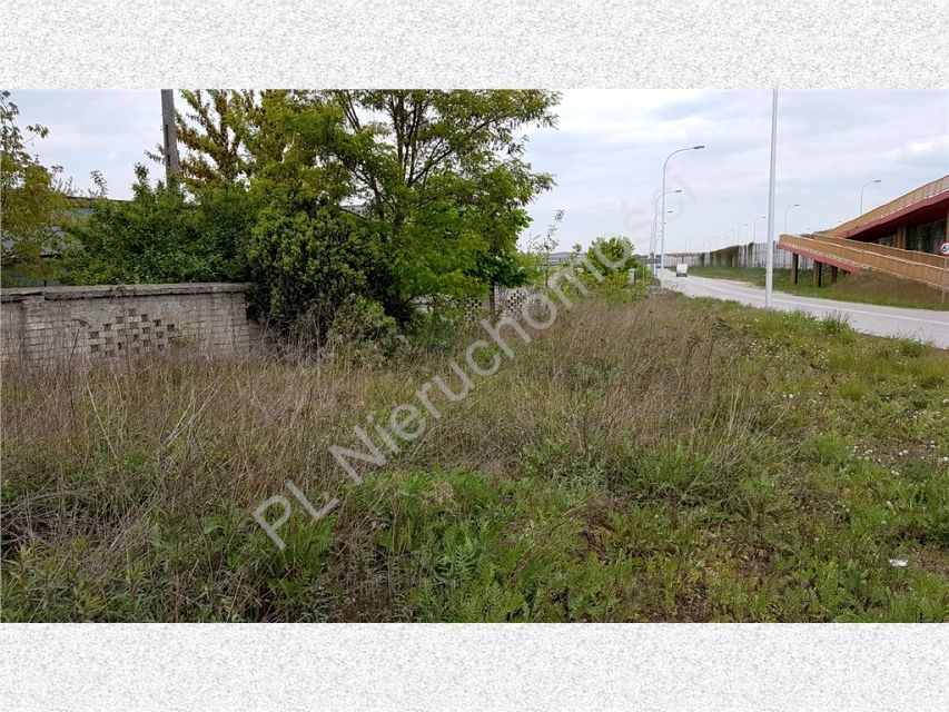 Zdjęcie 3