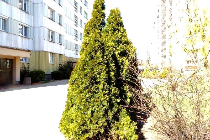 Mieszkanie blok mieszkalny sprzedaż