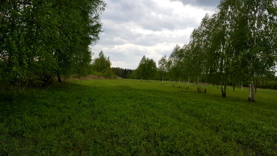 Działka Kruszówiec