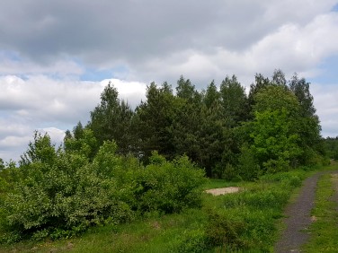 Działka budowlana Wola Ducka