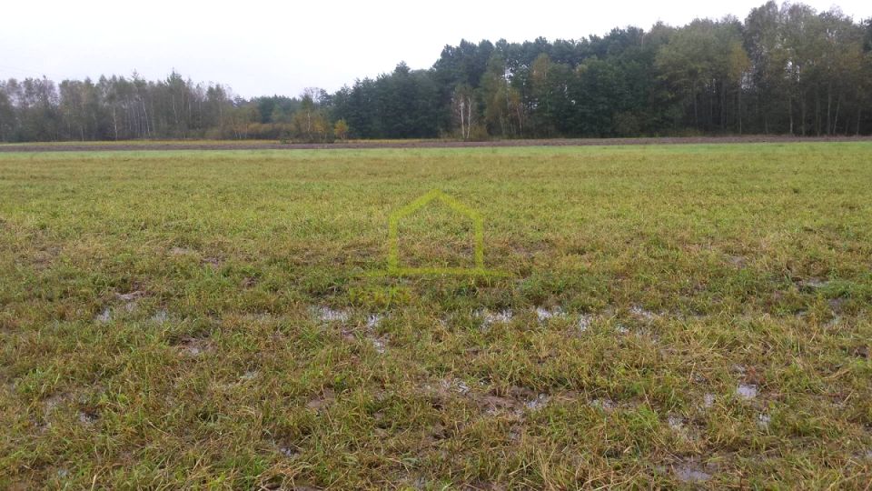 Działka budowlana Trzcinka