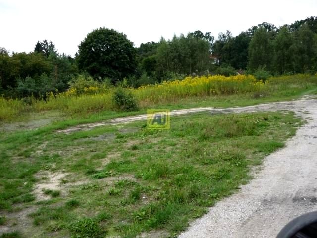 Zdjęcie 2