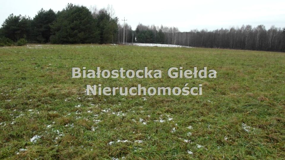 Działka rolna Koźliki