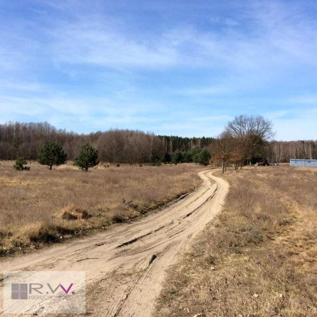 Działka Szklarka Trzcielska