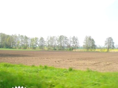Działka budowlano-rolna Biedrzychów