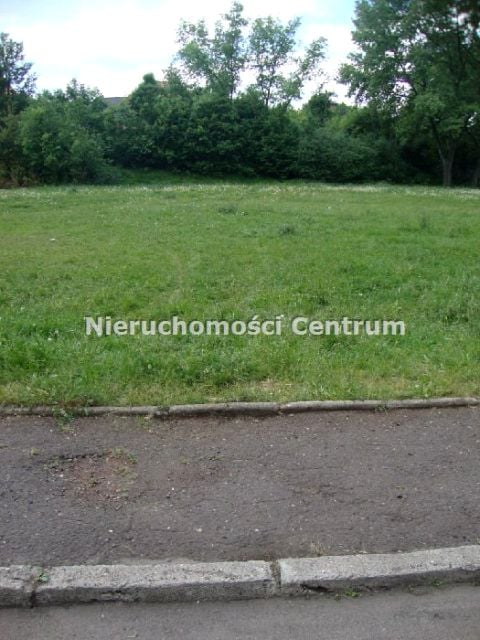 Zdjęcie 3