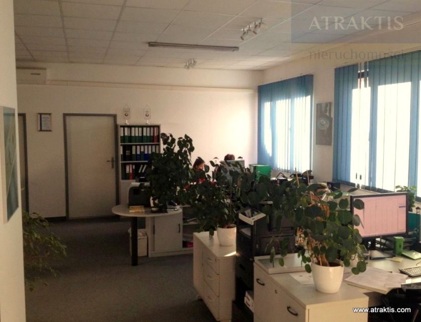 Lokal Kraków