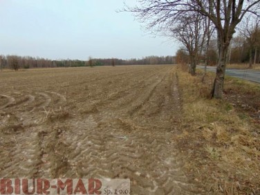 Działka rolna Nowy Łajszczew