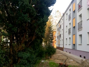 Mieszkanie blok mieszkalny Sosnowiec