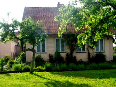 Dom Krzekoty