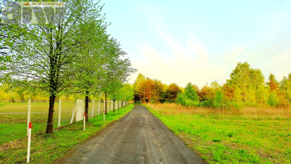 Działka budowlana Mariew