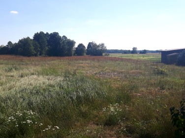 Działka budowlano-rolna Grabów Zaleśny