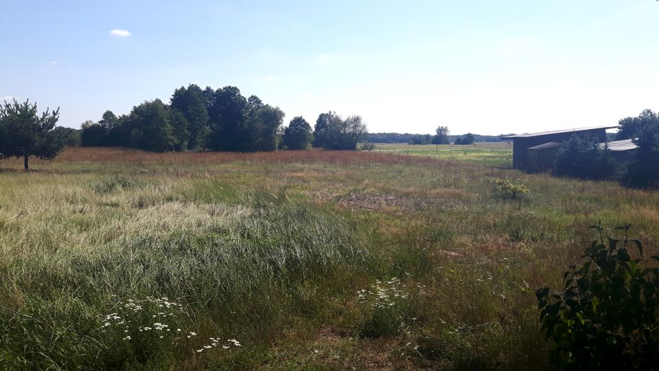 Działka budowlano-rolna Grabów Zaleśny