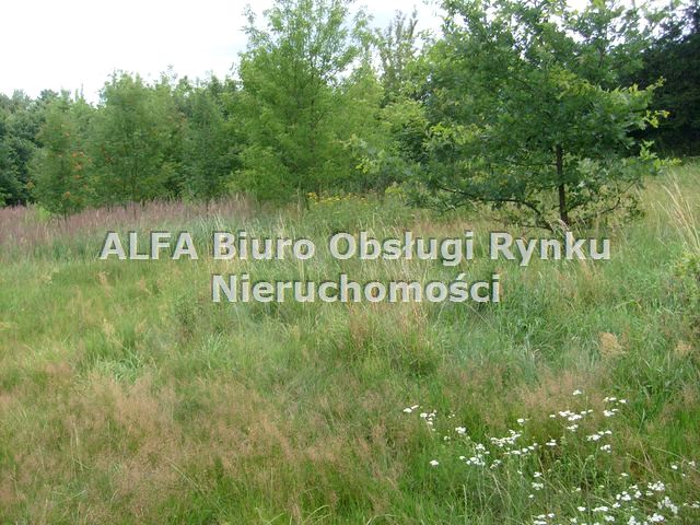 Działka budowlana Zakopane