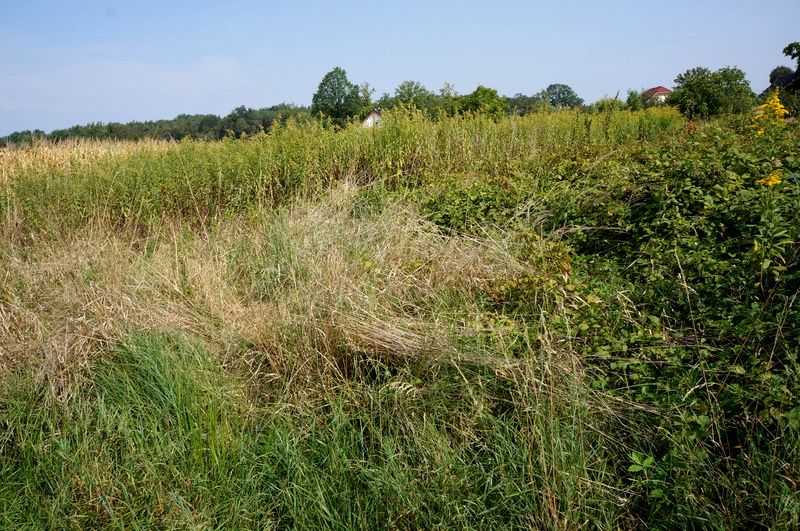 Działka budowlana Opole