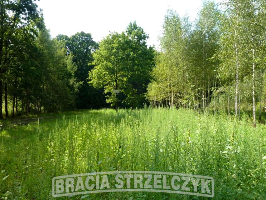 Działka Sulejówek