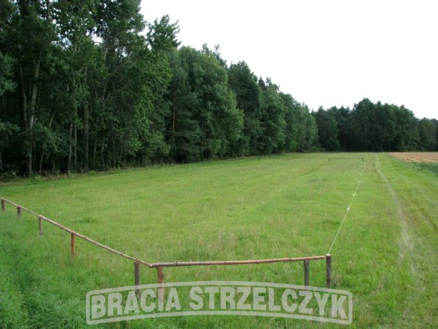 Działka budowlana Kąty-Wielgi