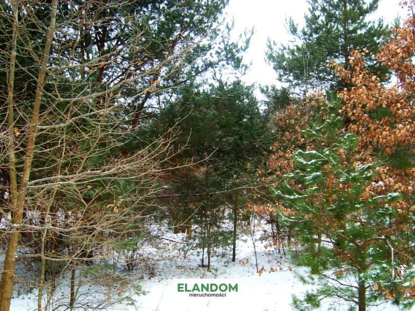 Działka leśna Warszawa