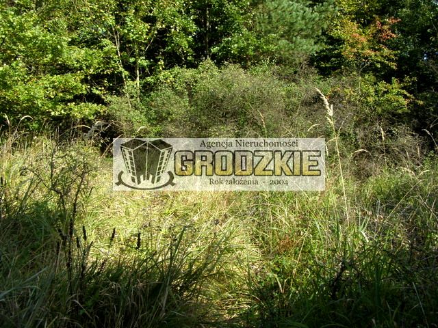 Zdjęcie 2