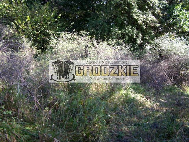Zdjęcie 3
