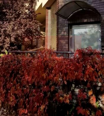 Budynek użytkowy Warszawa