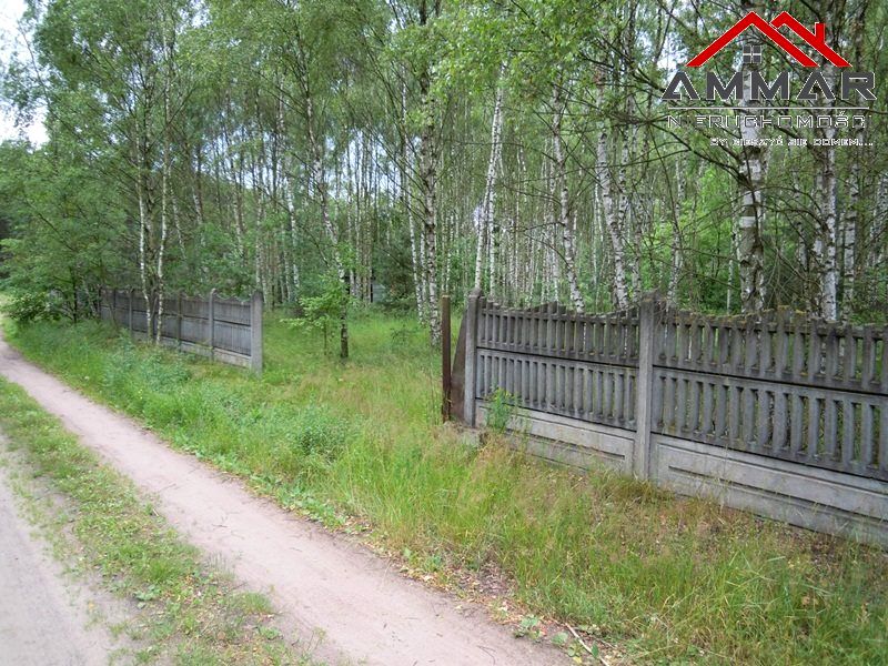 Działka rekreacyjna 999 m² przy lesie na sprzedaż KorzecznikPodlesie