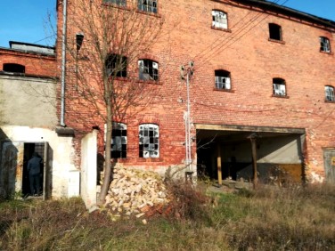 Budynek użytkowy Oleśnica