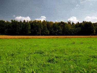 Działka budowlana Zaborze