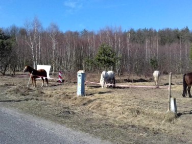 Działka budowlana Sowin sprzedam