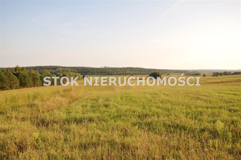 Działka rolna Studzianki