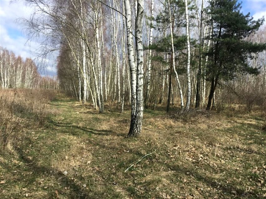 Działka rolna Mariew