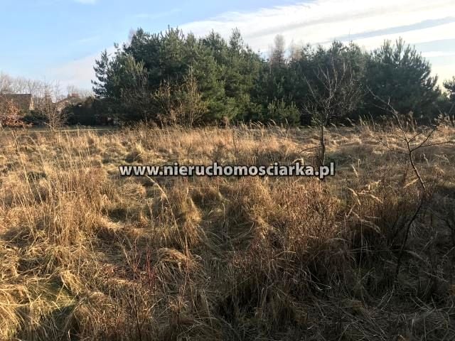 Działka budowlana Wodzisław Śląski