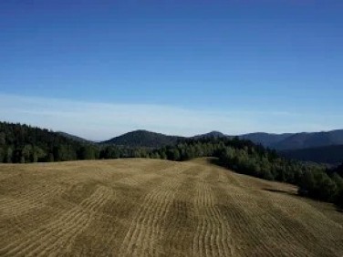 Działka rolna Kołonice