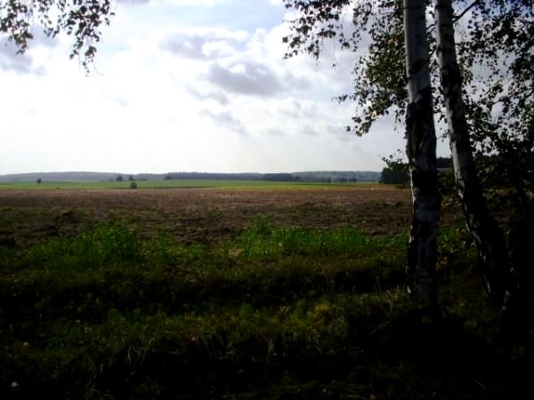 Działka Trzcielin