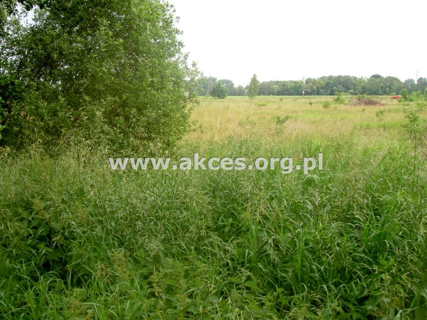 Działka budowlana Ojrzanów-Towarzystwo